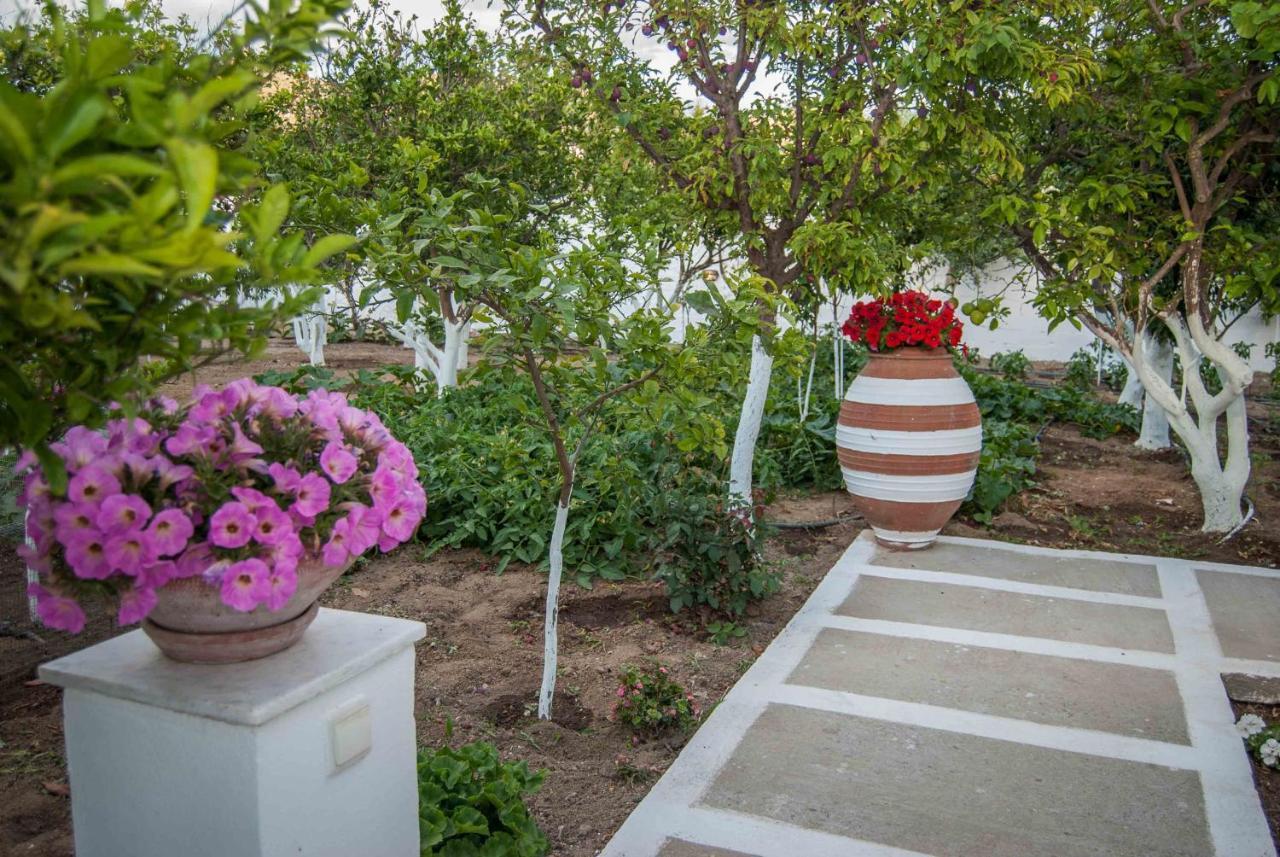 Perivoli 3-Chora Apartment Agkidia Luaran gambar